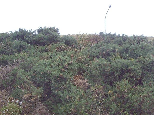 Photo of current place